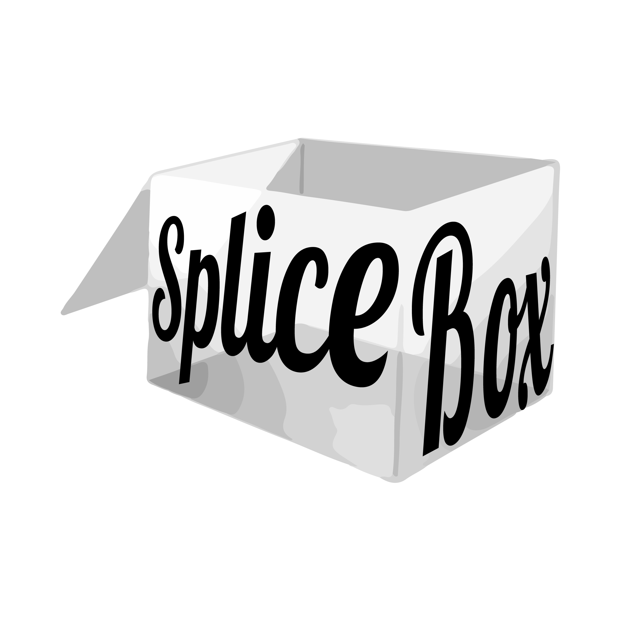 Splice Box